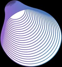 SapotaCorp