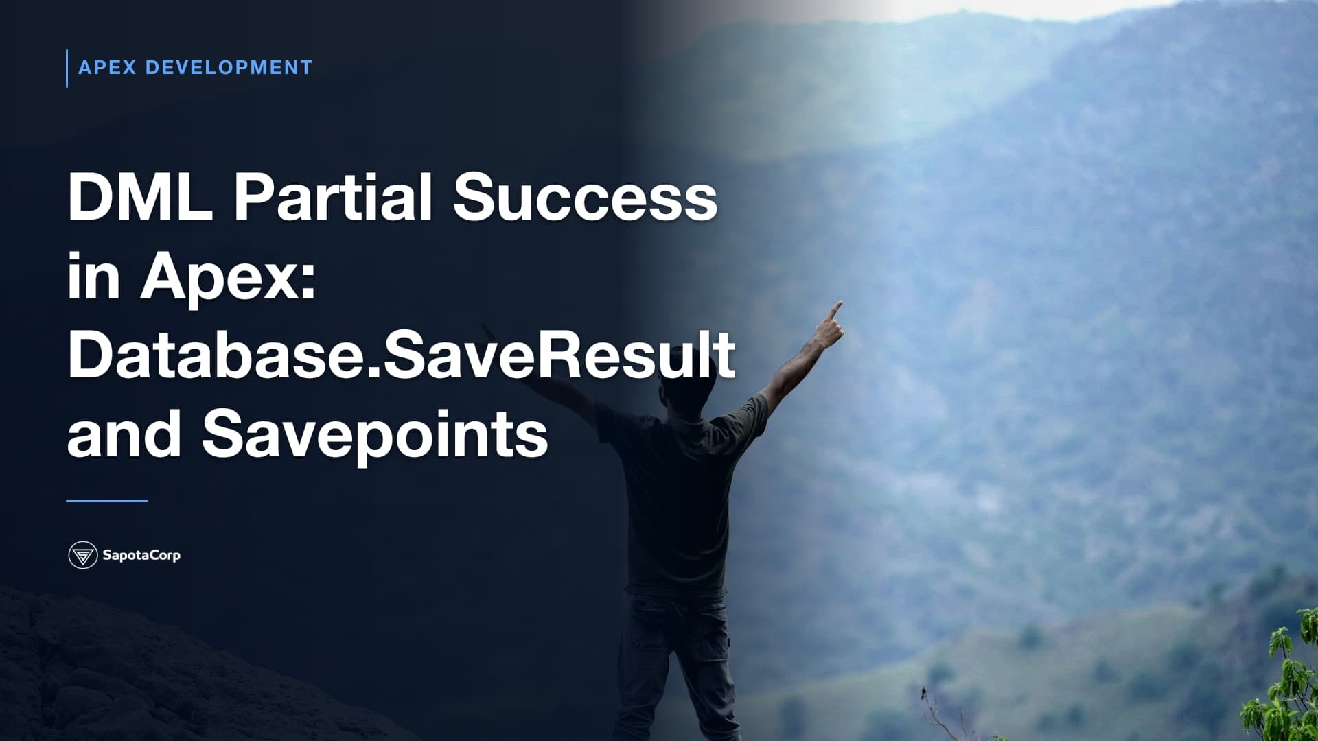 DML Partial Success in Apex: Database.SaveResult and Savepoints