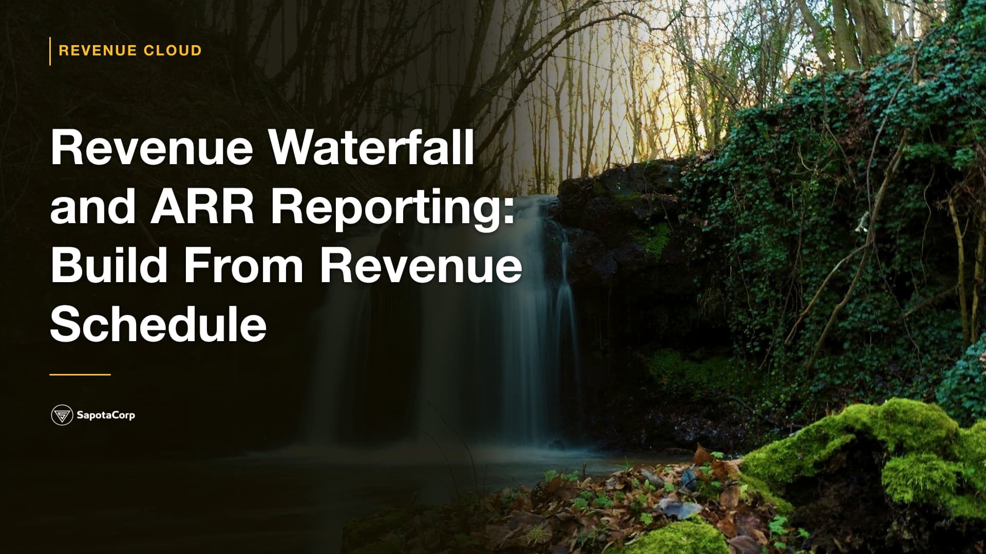 Revenue Waterfall and ARR Reporting: Build From Revenue Schedule