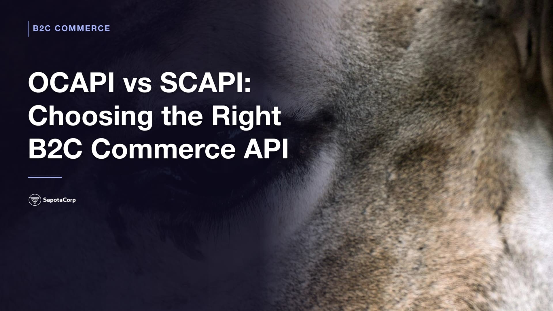 OCAPI vs SCAPI: Choosing the Right B2C Commerce API