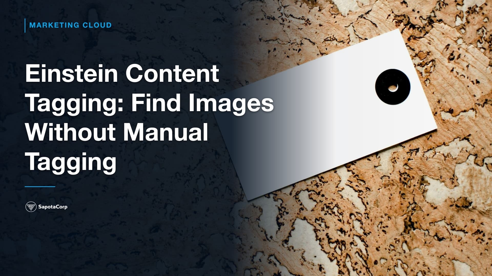 Einstein Content Tagging: Find Images Without Manual Tagging