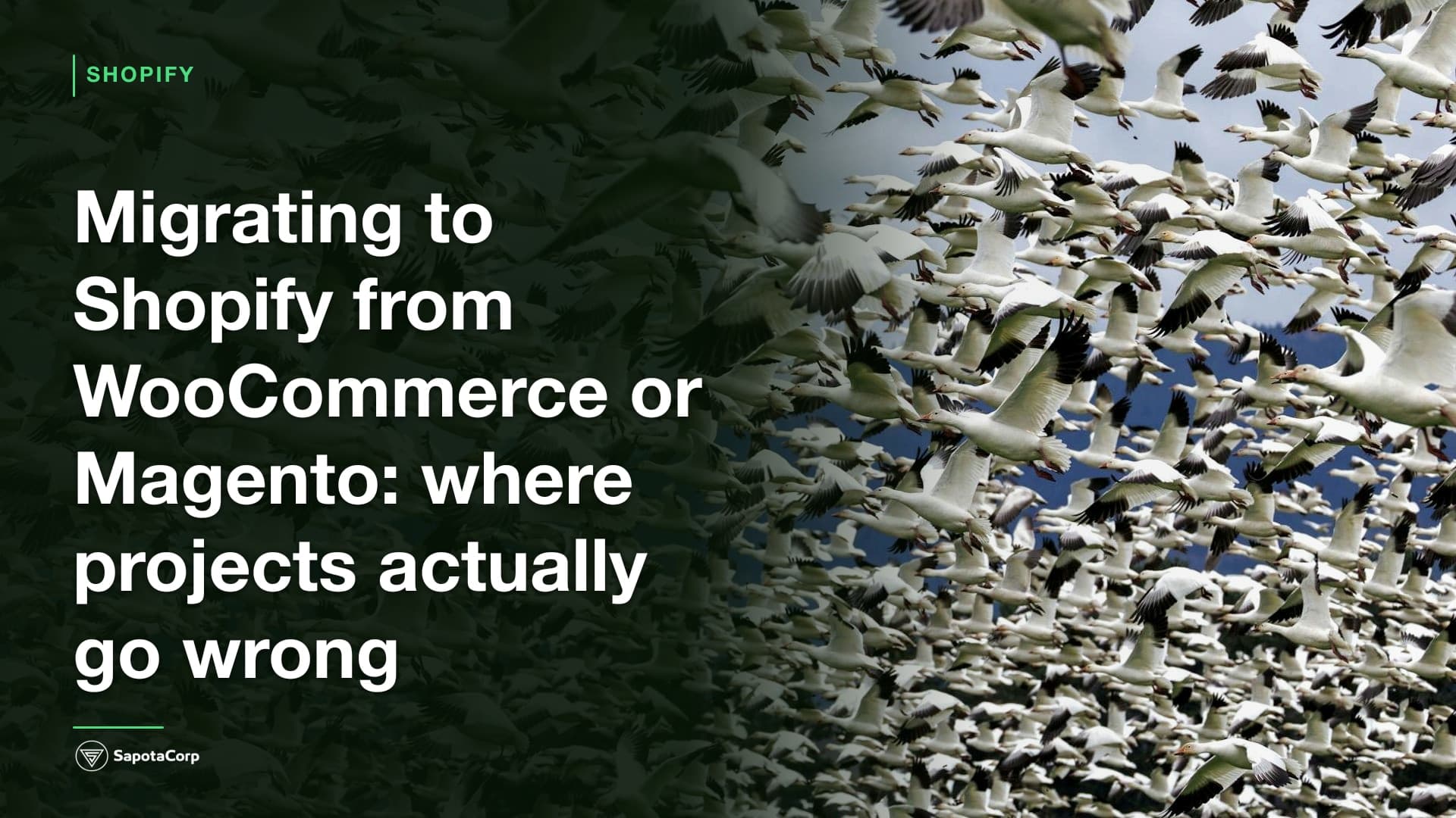 Migrating to Shopify from WooCommerce or Magento: where projects actually go wrong