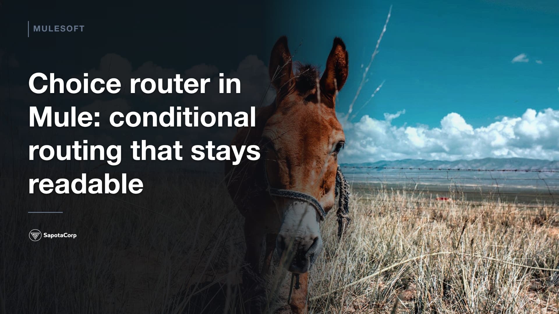 Choice router in Mule: conditional routing that stays readable