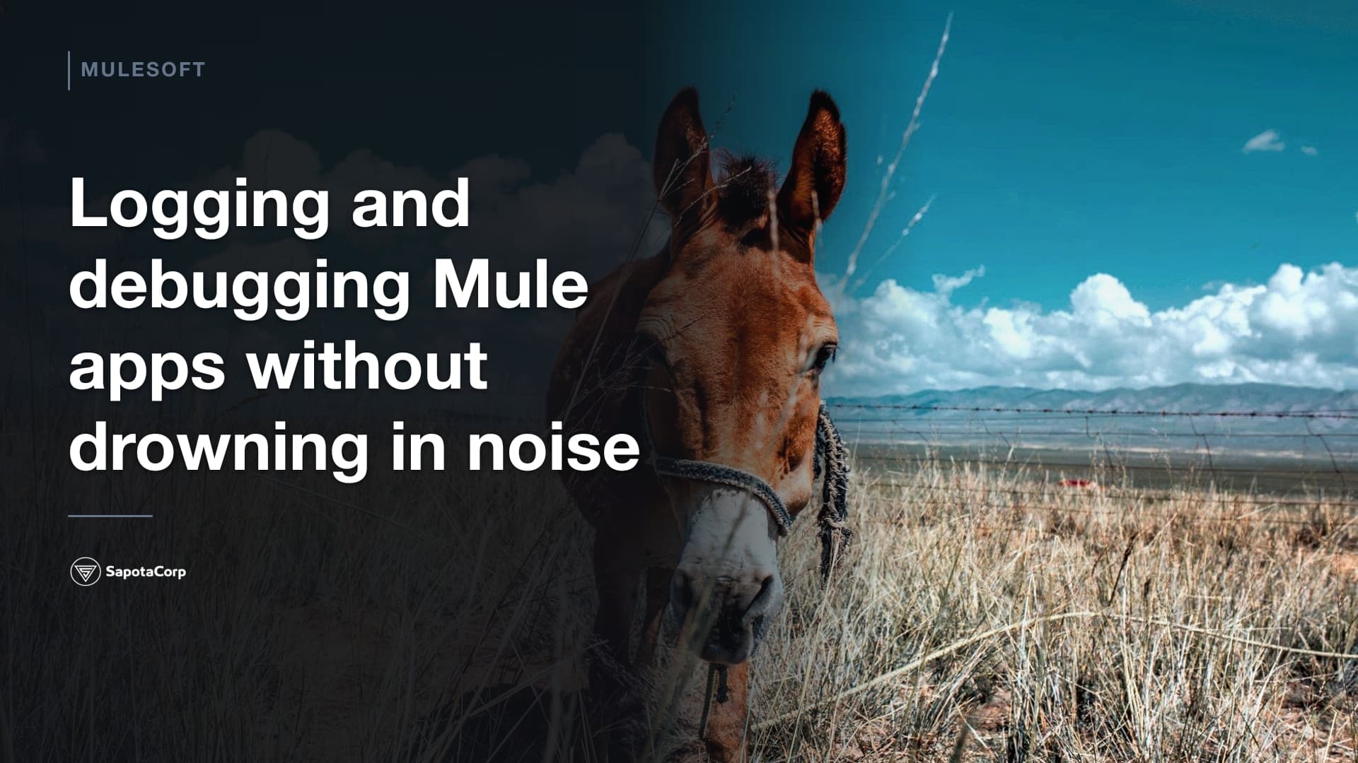 Logging and debugging Mule apps without drowning in noise