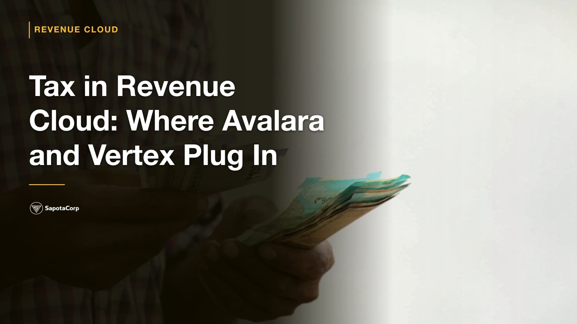 Tax in Revenue Cloud: Where Avalara and Vertex Plug In