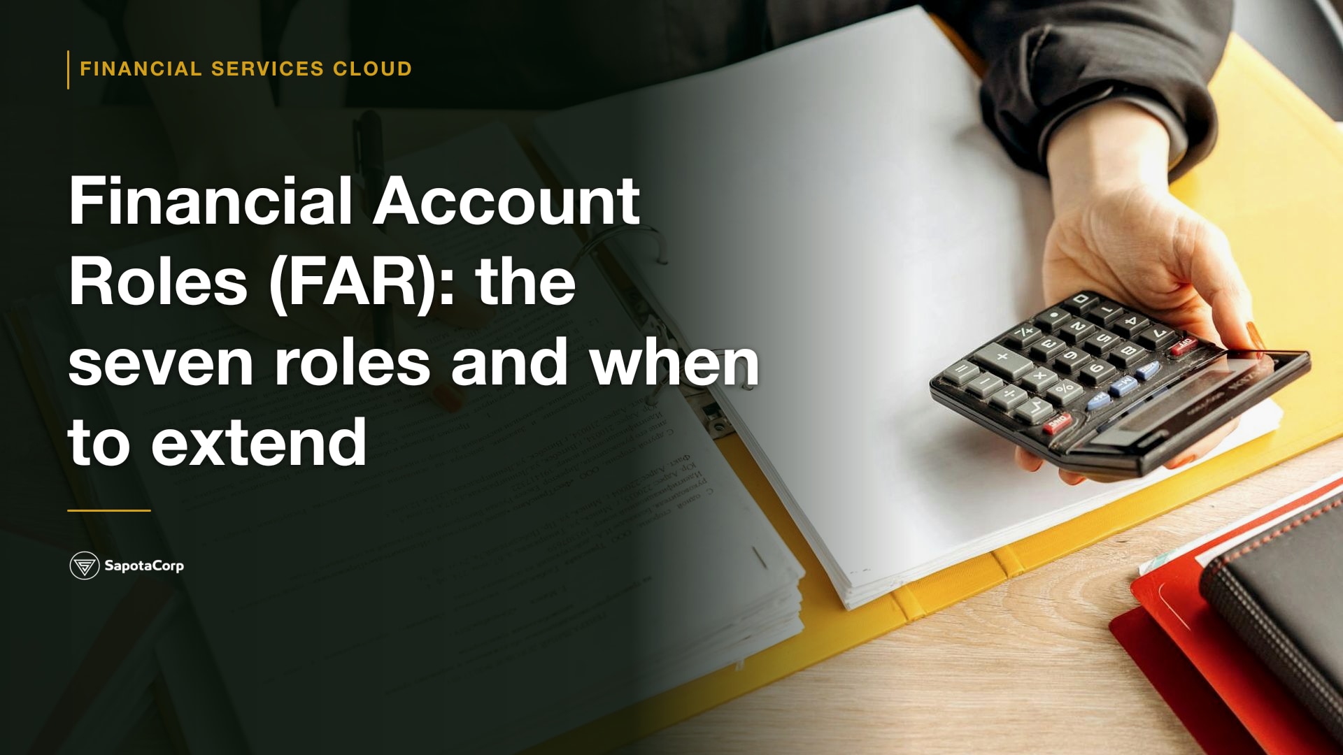 Financial Account Roles (FAR): the seven roles and when to extend