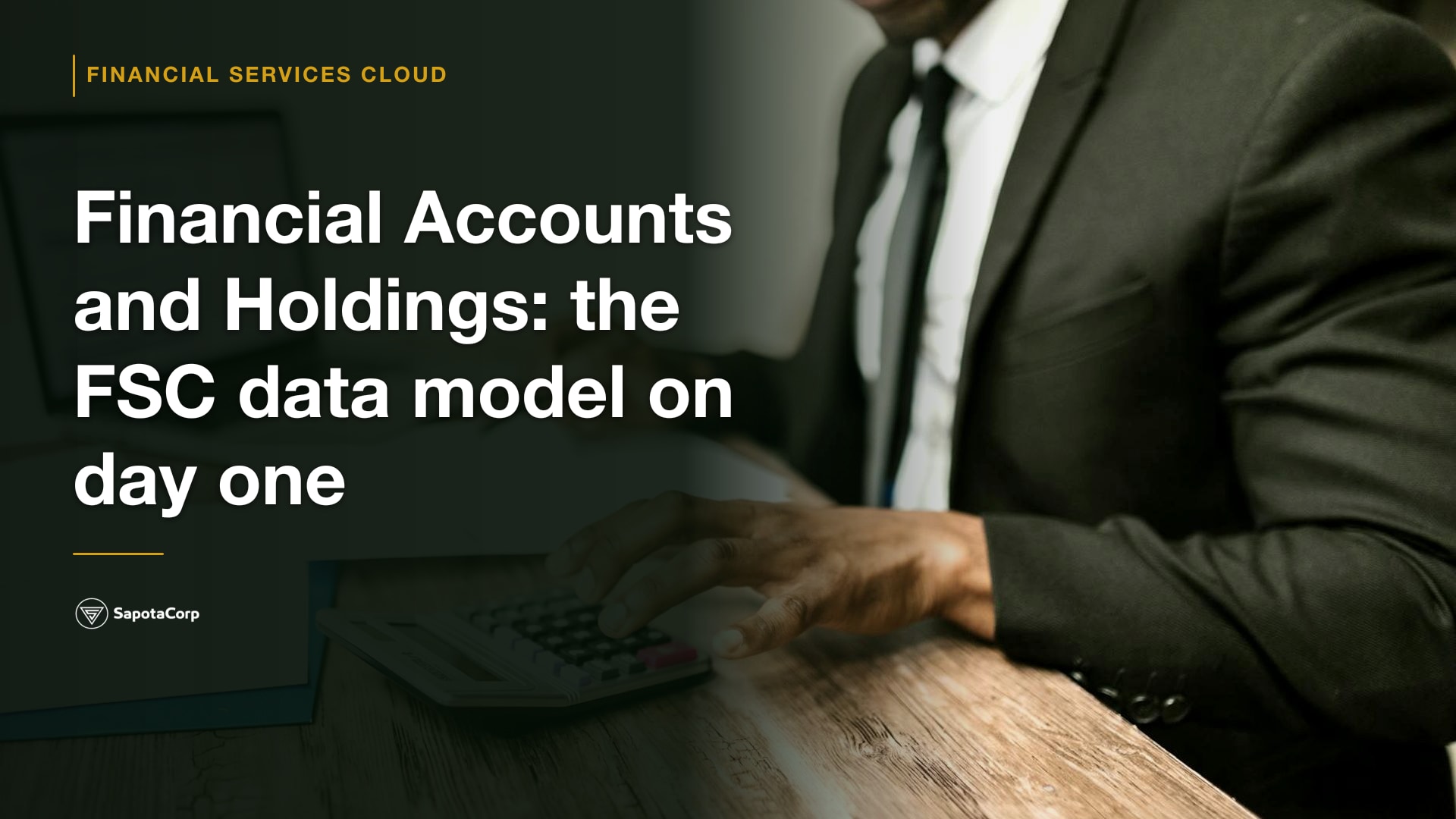 Financial Accounts and Holdings: the FSC data model on day one