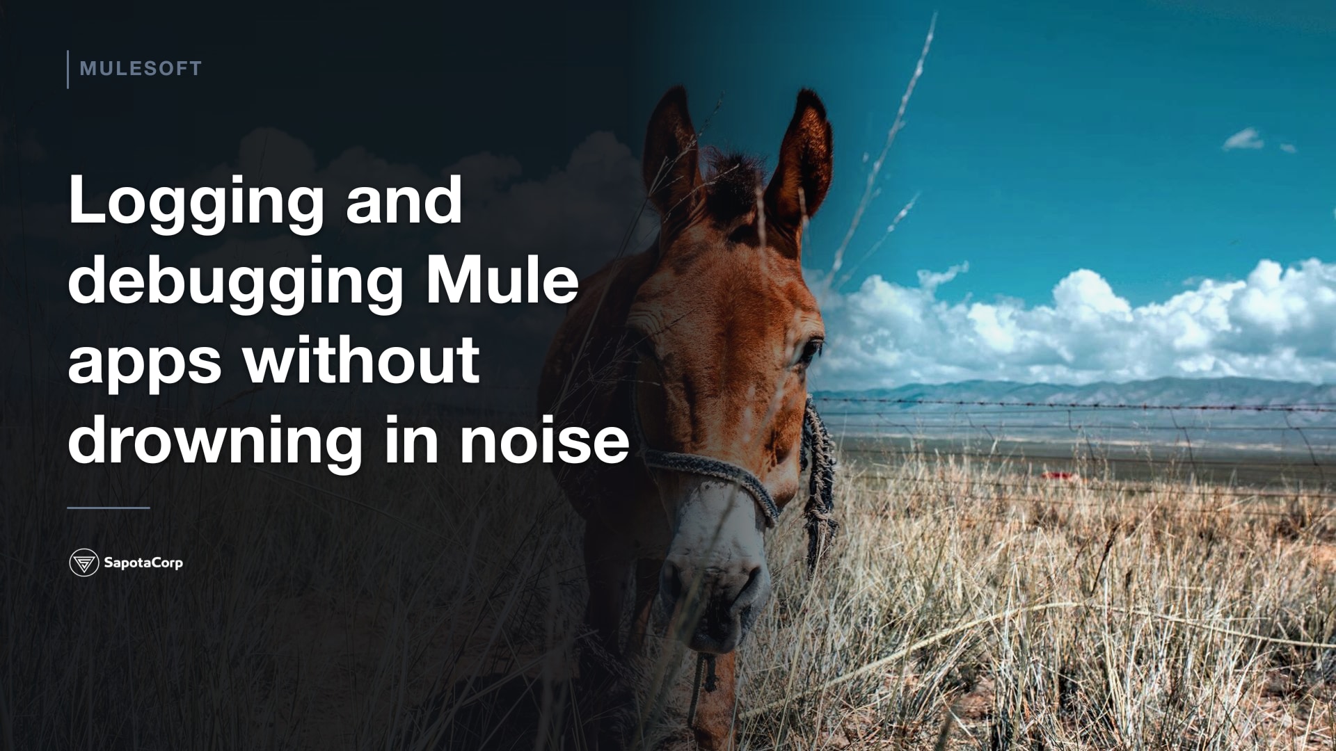 Logging and debugging Mule apps without drowning in noise