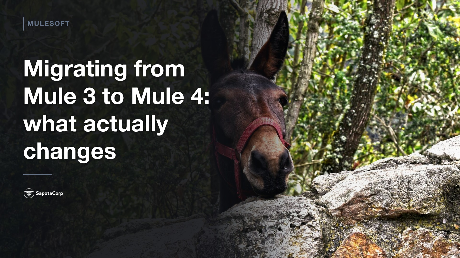 Migrating from Mule 3 to Mule 4: what actually changes