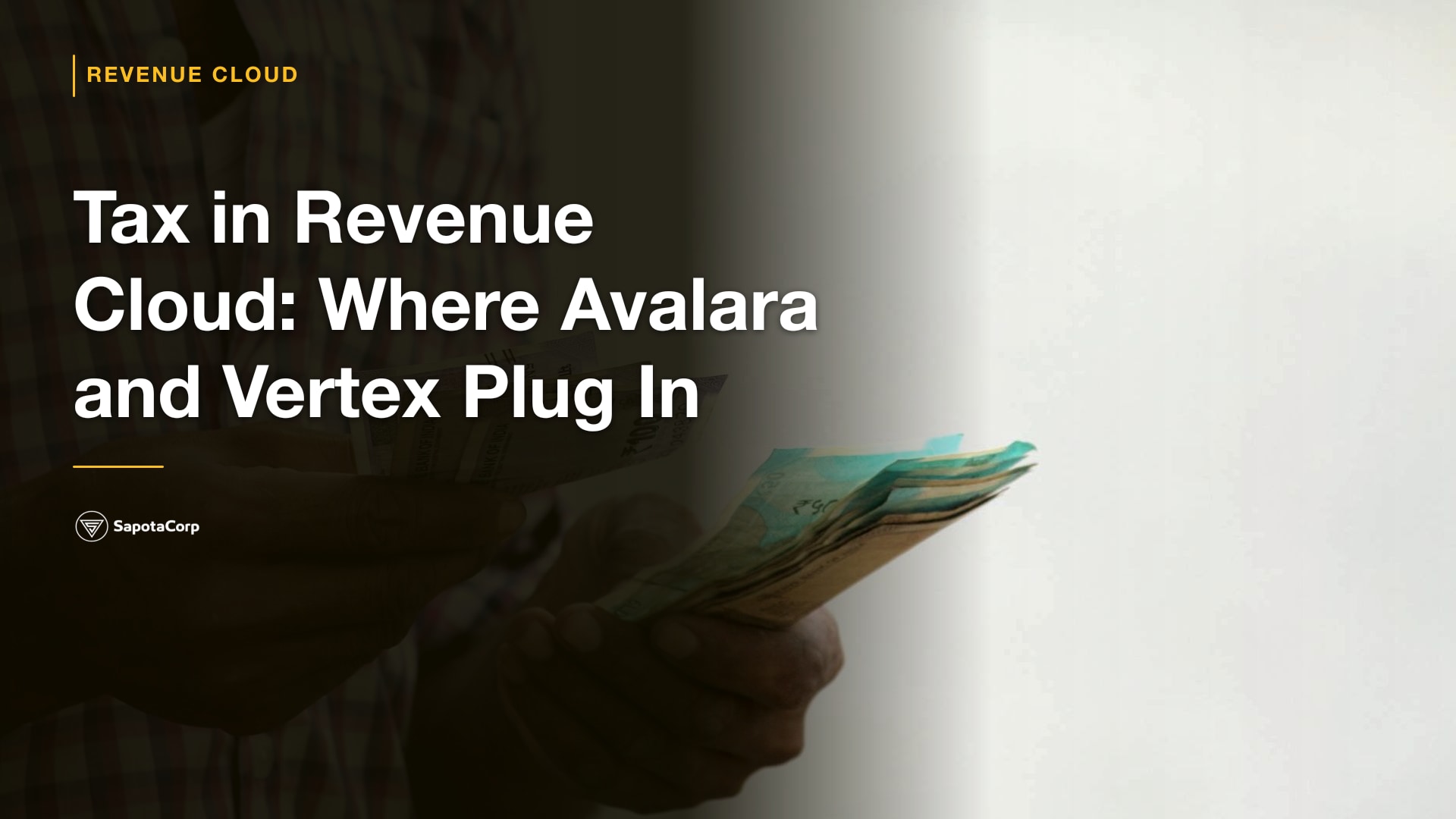 Tax in Revenue Cloud: Where Avalara and Vertex Plug In